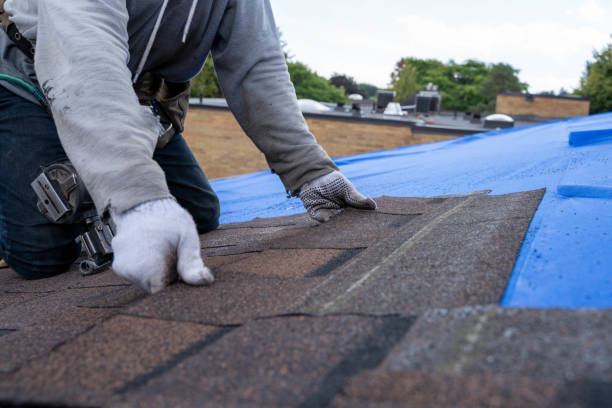 Best Roof Waterproofing Services  in Carrboro, NC